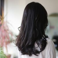 画像1436：スパイクシェイプ